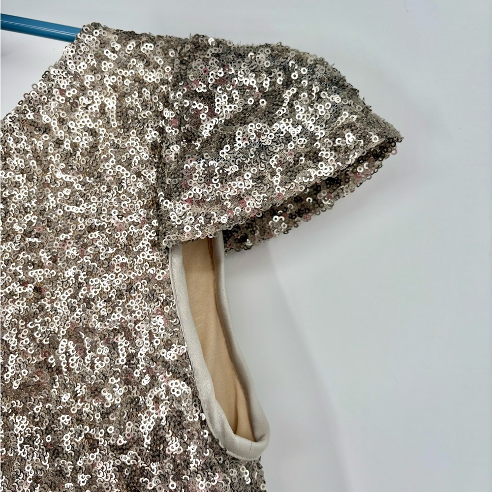 Sorella Vita Silver Modern Sequin Gown - Picture 9 of 11